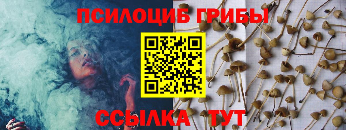 даркнет сайт  Псилоцибиновые грибы MAGIC MUSHROOMS  Вход с VPN  Галлюциногенные грибы ЛСД  Бутурлиновка 